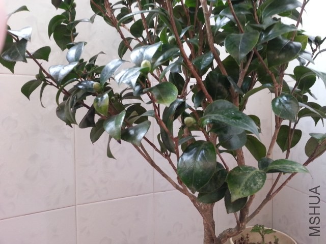 20131012_080057.jpg