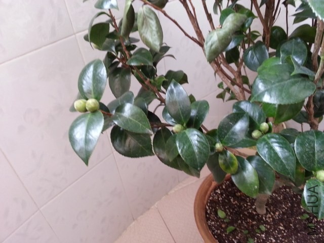 20131012_080109.jpg