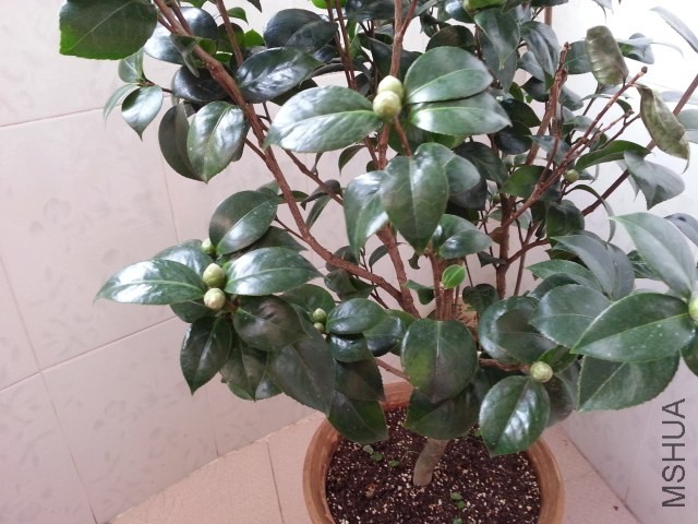 20131012_080148.jpg