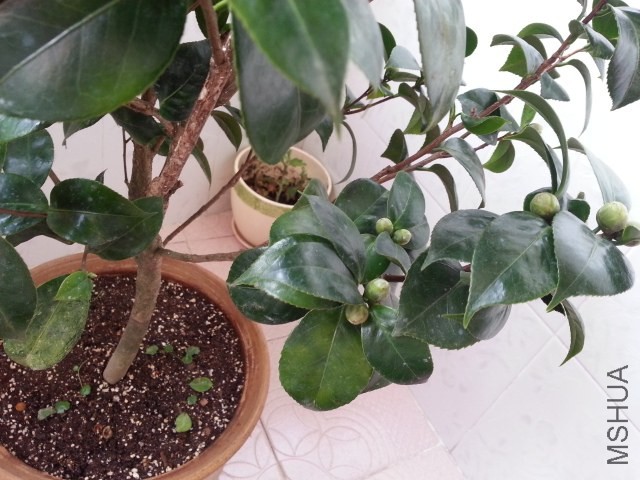 20131012_080205.jpg