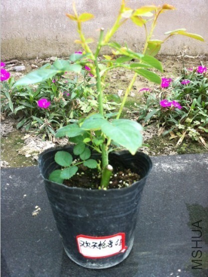 QQͼƬ20131012143941.jpg