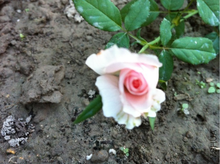���D����