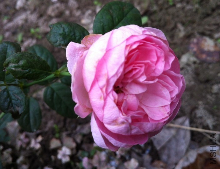 QQͼƬ20131012144500.jpg