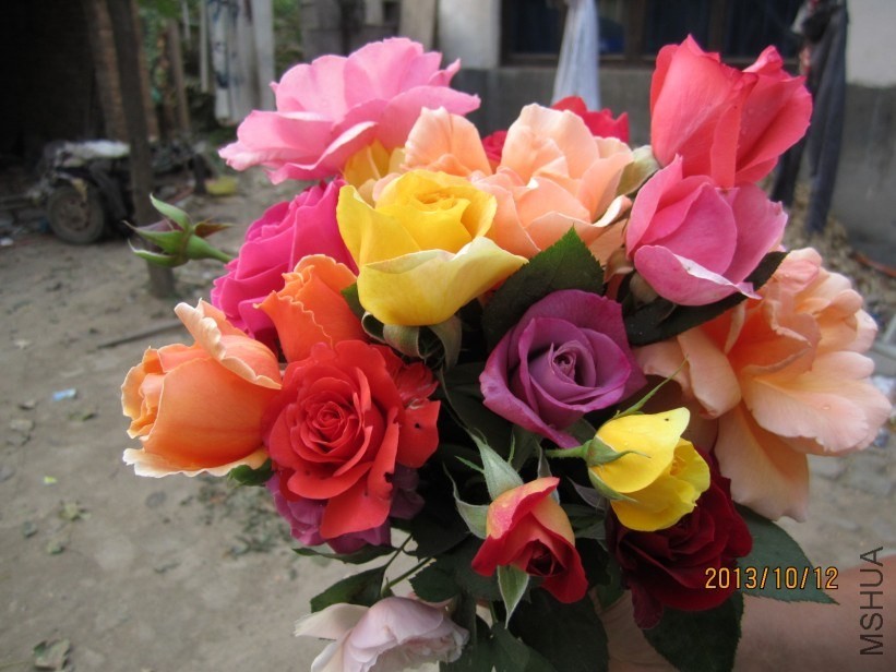 HML20GUDOHL88FTCG[FA5B8.jpg