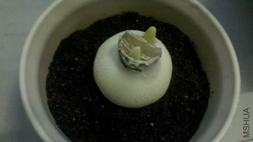 ������С 2013-10-12_20-52-07_821.jpg