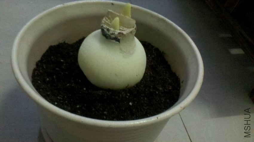 ������С 2013-10-12_20-52-01_897.jpg