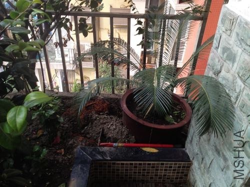 nEO_IMG_��Ƭ 005.jpg