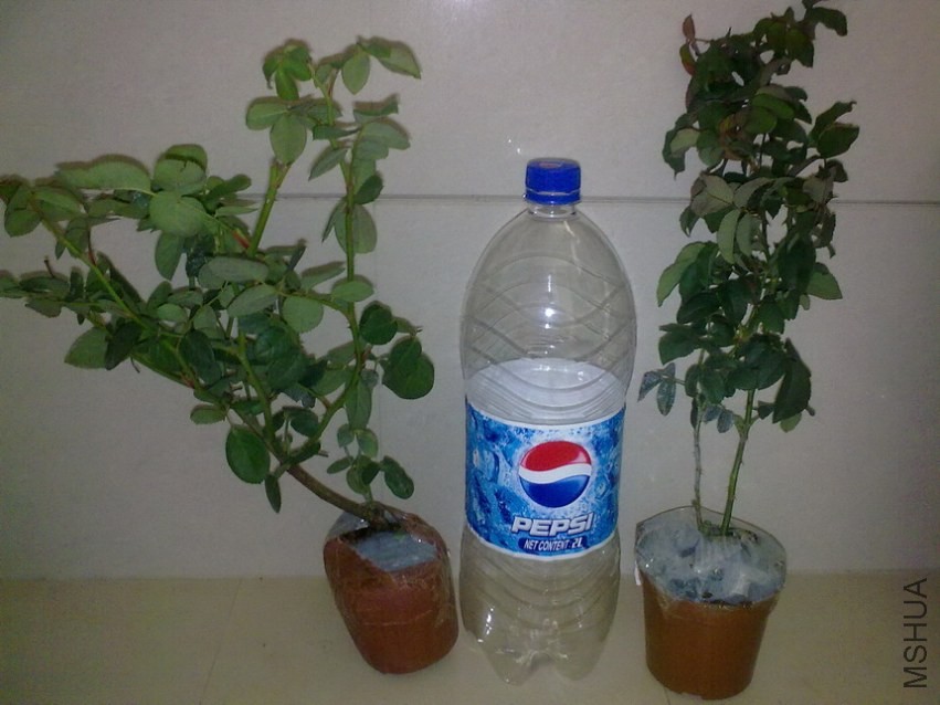 ���õ�������