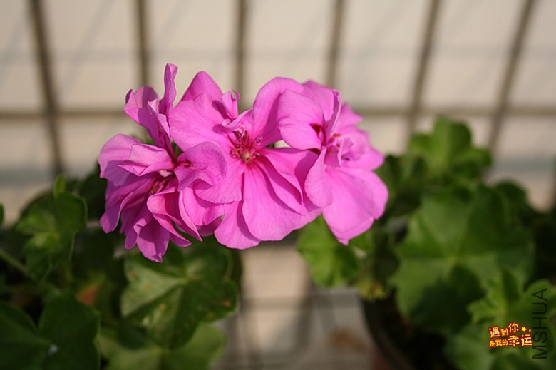 ��Ƭ 001_����.jpg