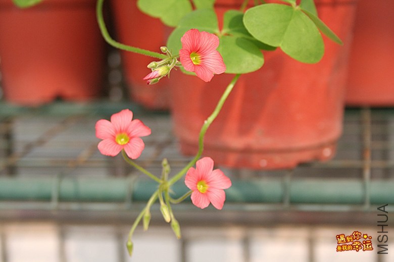 ��Ƭ 020_����.jpg