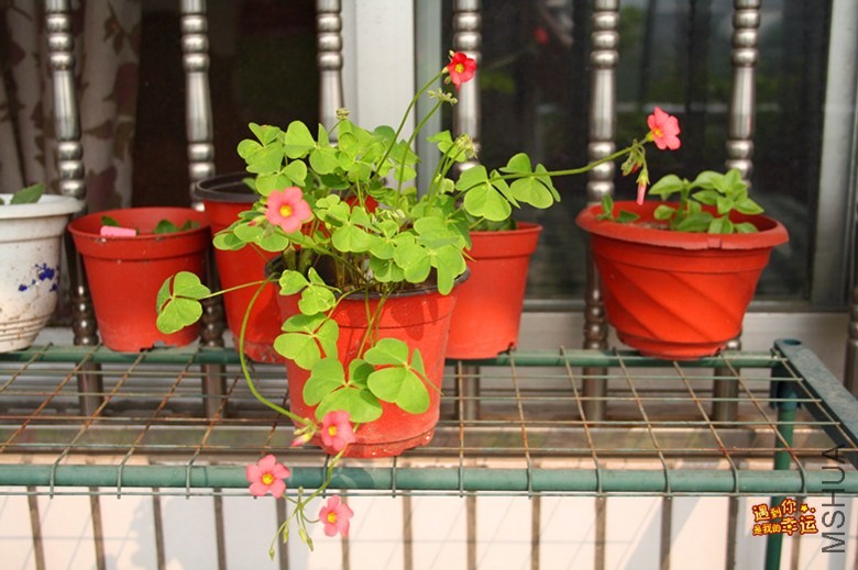 ��Ƭ 018_����.jpg