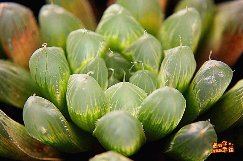 ��Ƭ 026_����.jpg