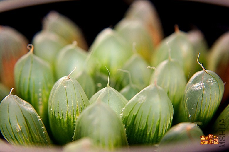 ��Ƭ 030_����.jpg