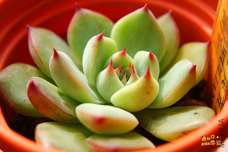 ��Ƭ 042_����.jpg