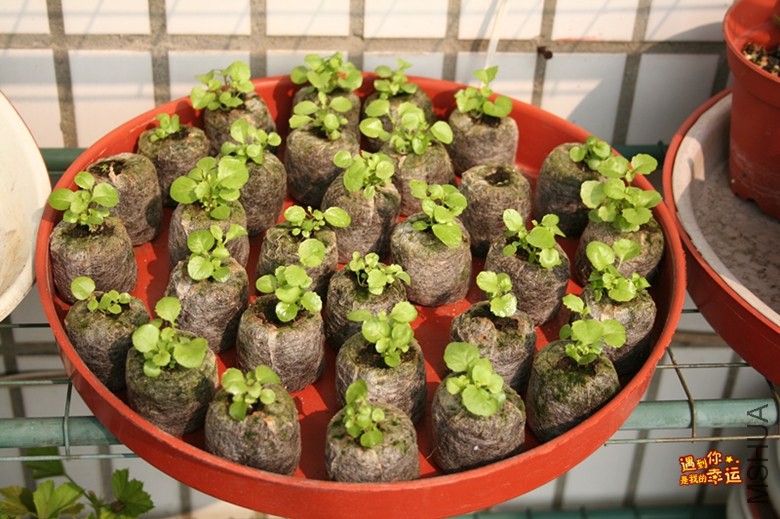 ��Ƭ 023_����.jpg