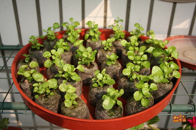 ��Ƭ 024_����.jpg