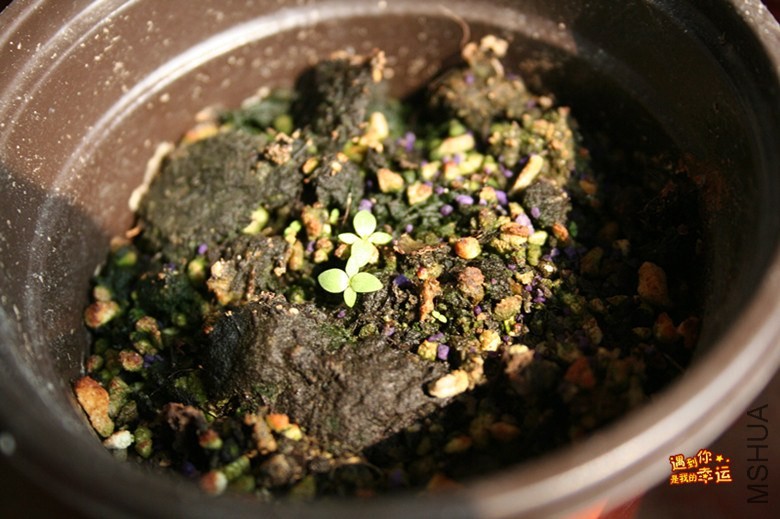 ��Ƭ 014_����.jpg