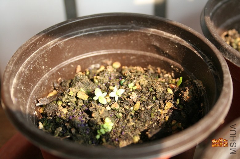 ��Ƭ 015_����.jpg