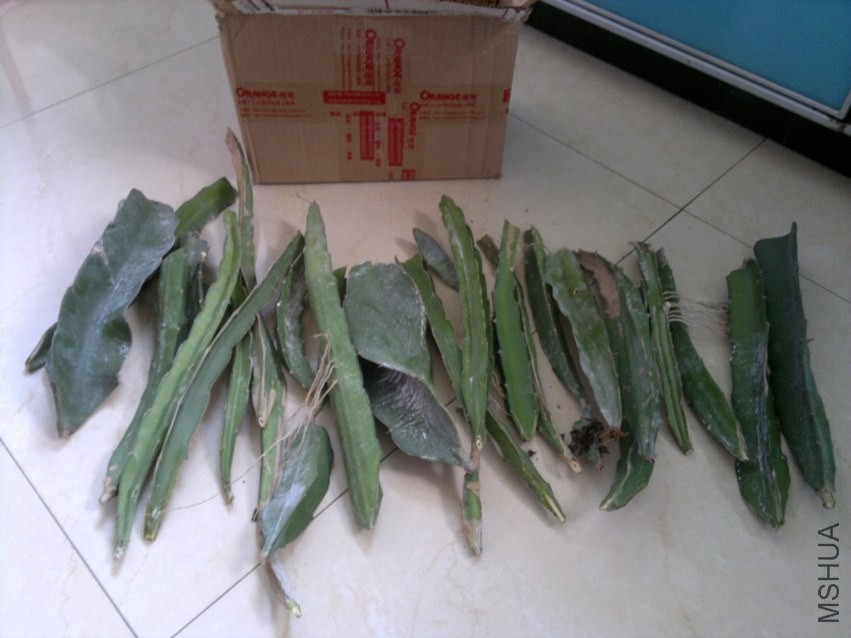 201310132122.jpg