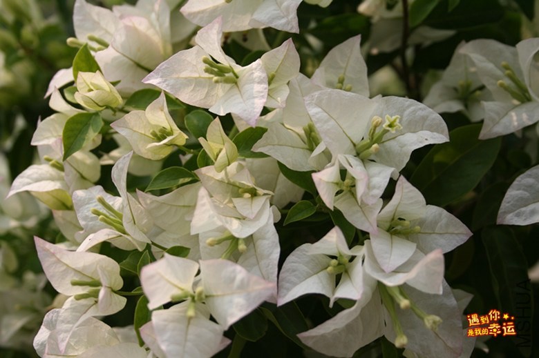 ��Ƭ 012_����.jpg