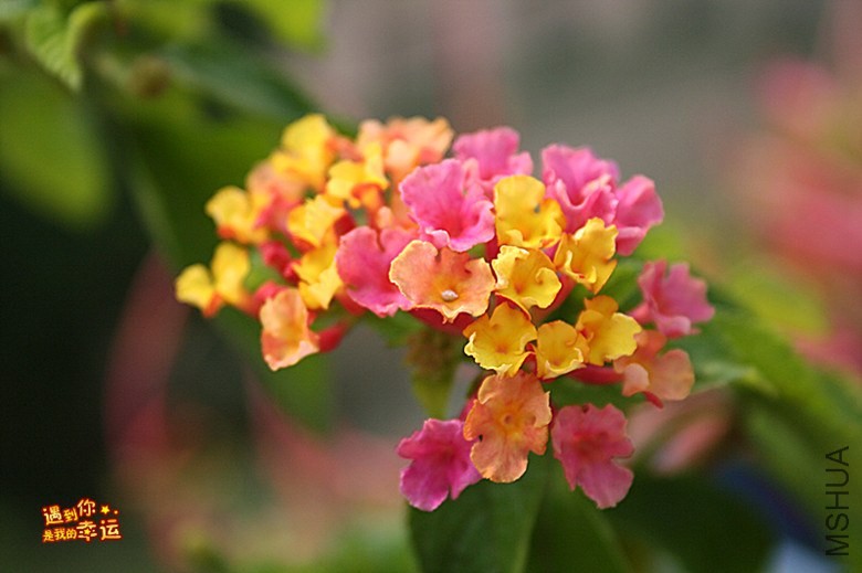 ��Ƭ 079_����.jpg