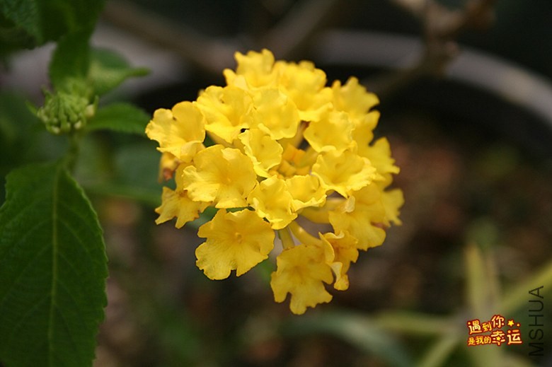 ��Ƭ 081_����.jpg