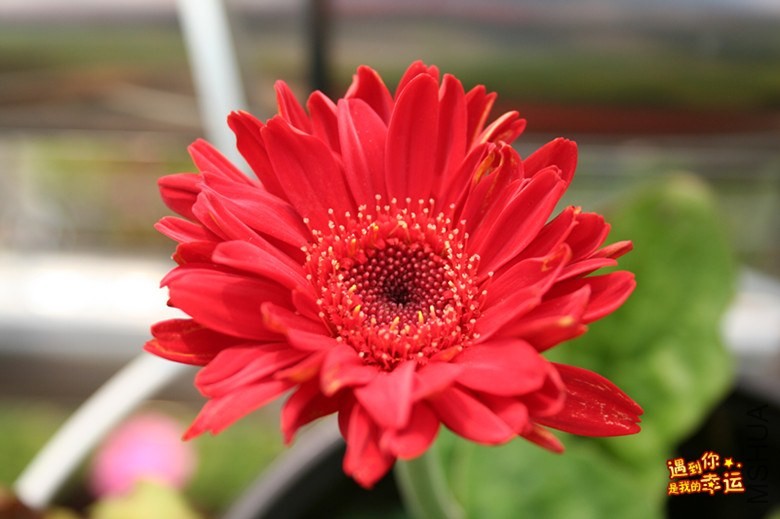 ��Ƭ 096_����.jpg