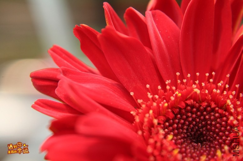 ��Ƭ 097_����.jpg