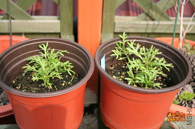 ��Ƭ 083_����.jpg