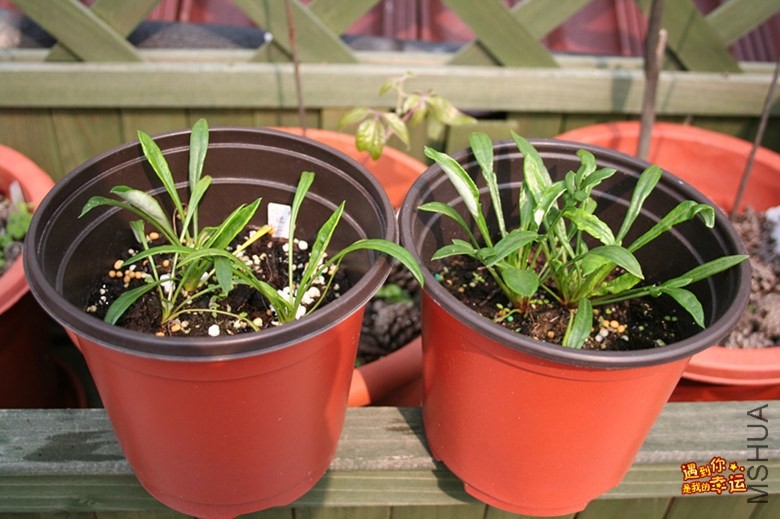 ��Ƭ 085_����.jpg