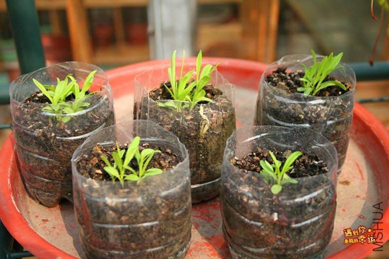 ��Ƭ 070_����.jpg