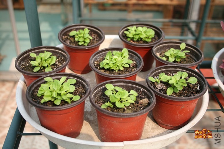 ��Ƭ 071_����.jpg