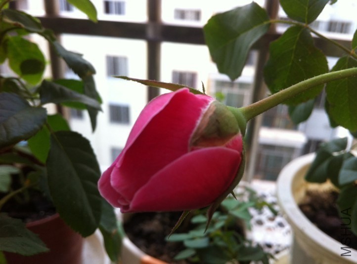 QQͼƬ20131012094202.jpg