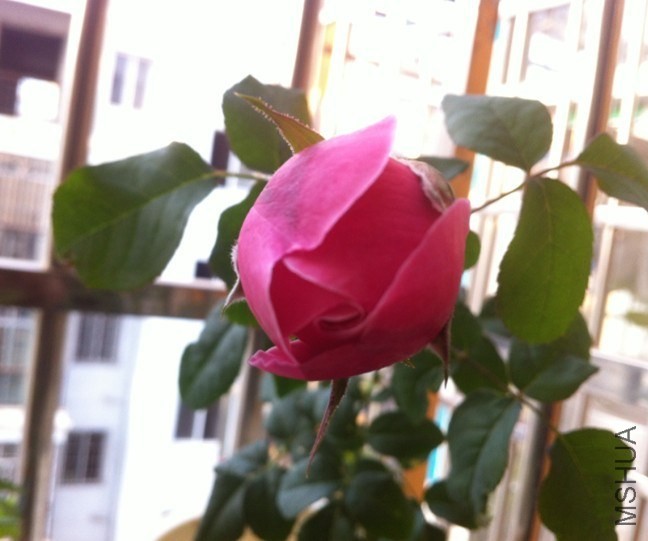 QQͼƬ20131012094226.jpg