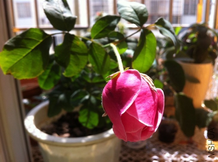 QQͼƬ20131012094245.jpg