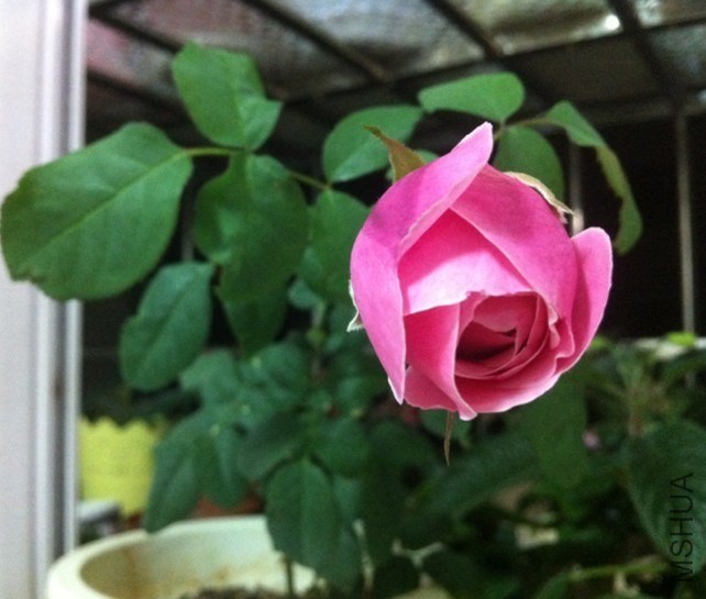 QQͼƬ20131012094325.jpg