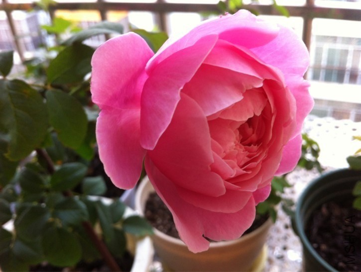 QQͼƬ20131012094342.jpg