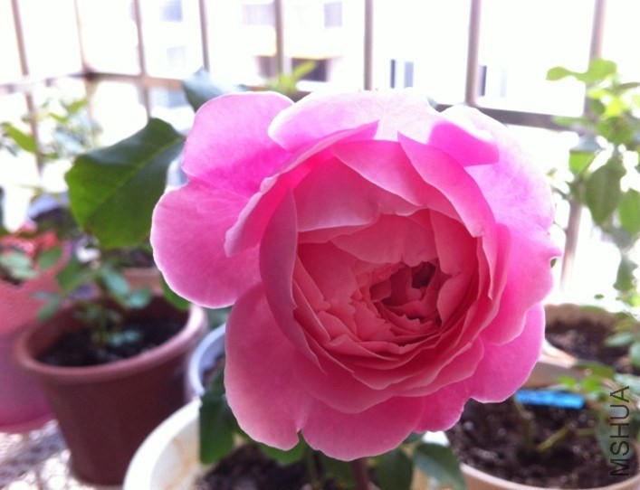 QQͼƬ20131012094408.jpg
