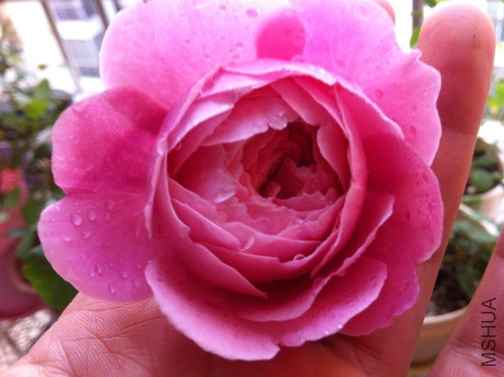QQͼƬ20131012094425.jpg