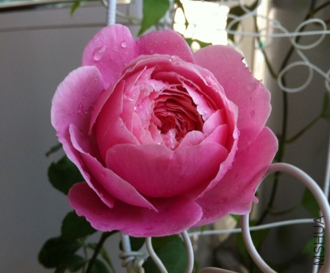 QQͼƬ20131012094451.jpg