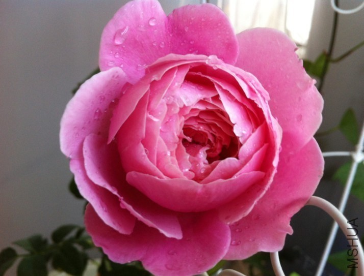 QQͼƬ20131012094522.jpg