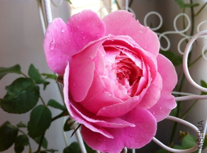 QQͼƬ20131012094545.jpg