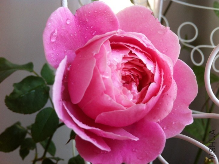 QQͼƬ20131012094602.jpg