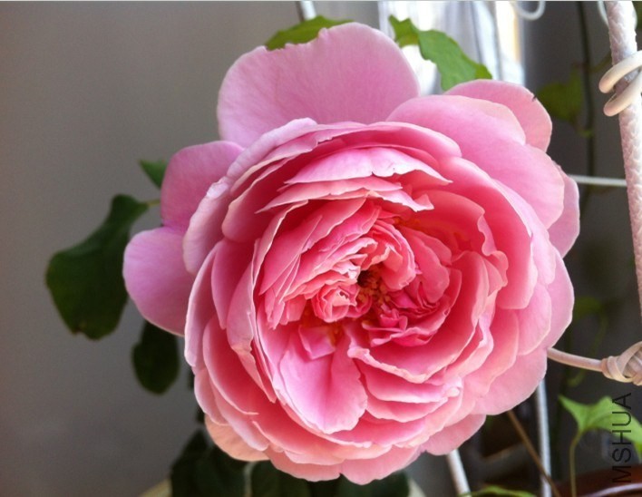 QQͼƬ20131012144023.jpg
