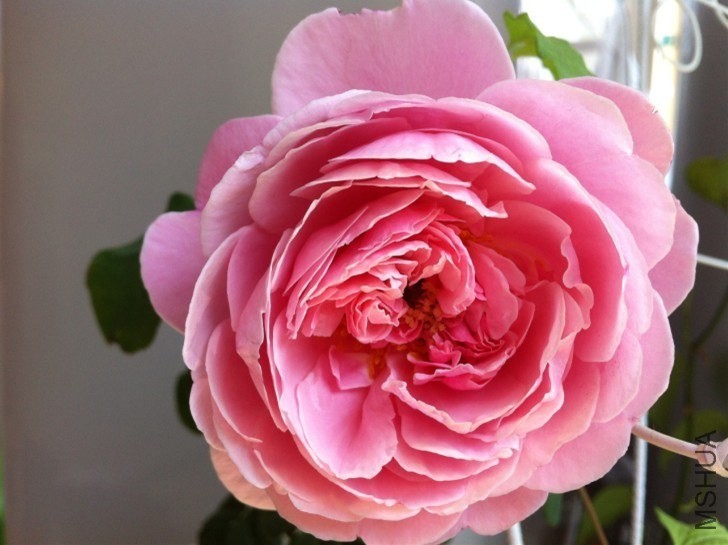 QQͼƬ20131012144101.jpg