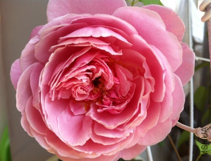 QQͼƬ20131012144236.jpg