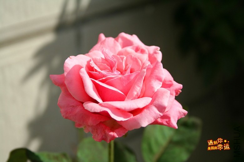 ��Ƭ 028_����.jpg