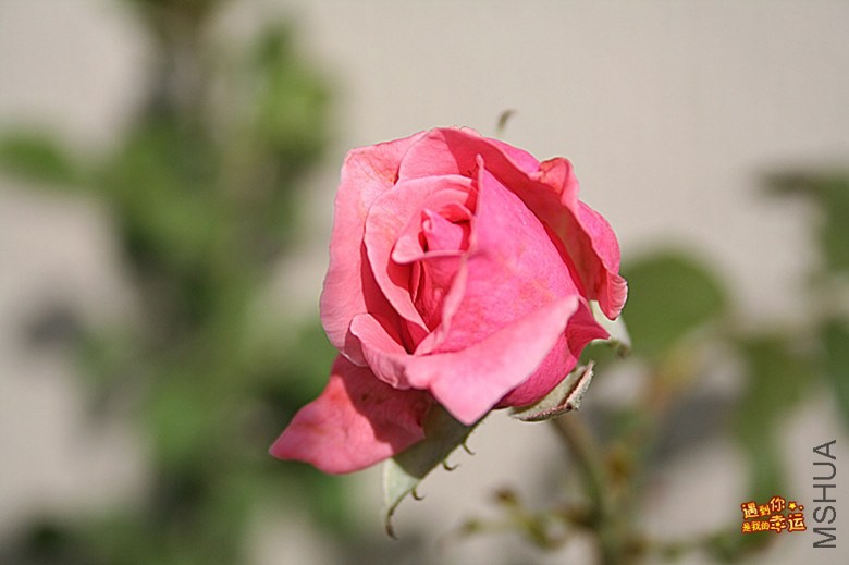 ��Ƭ 029_����.jpg