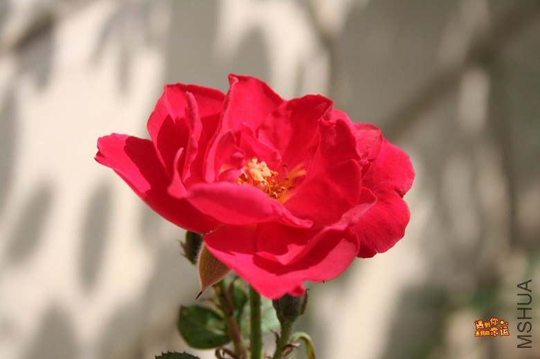 ��Ƭ 032_����.jpg