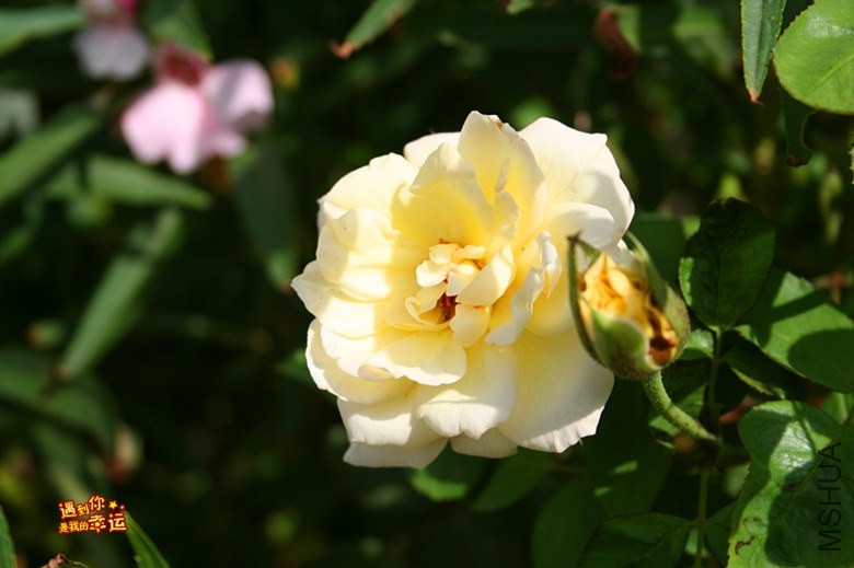 ��Ƭ 036_����.jpg